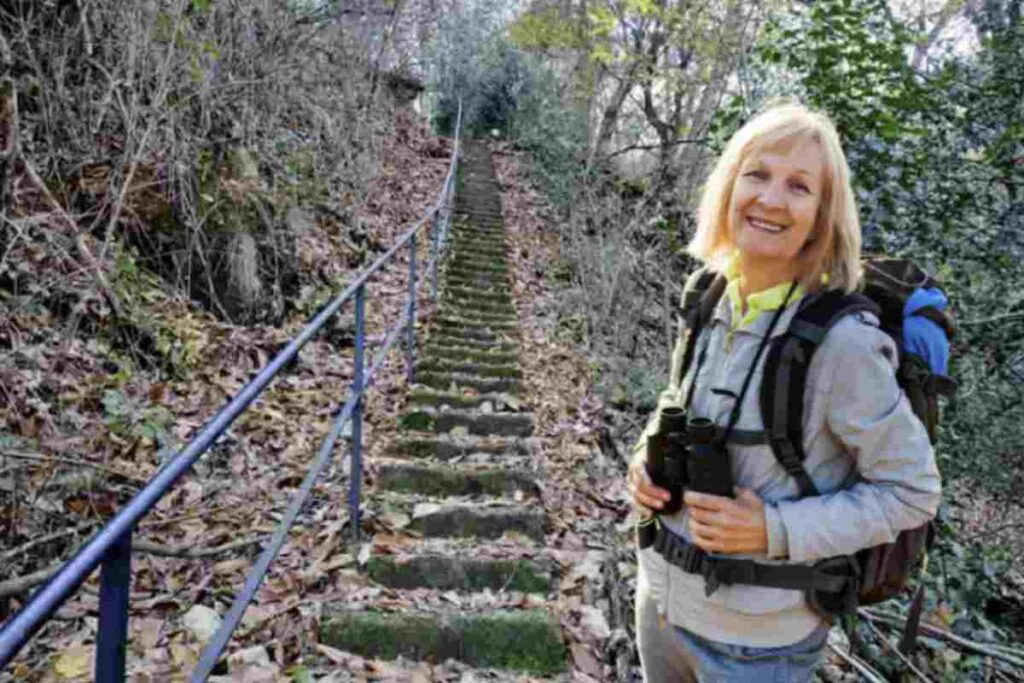 Un Panoramica sul Parco Spina Verde