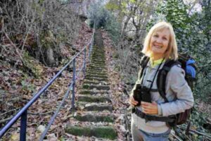 Un Panoramica sul Parco Spina Verde