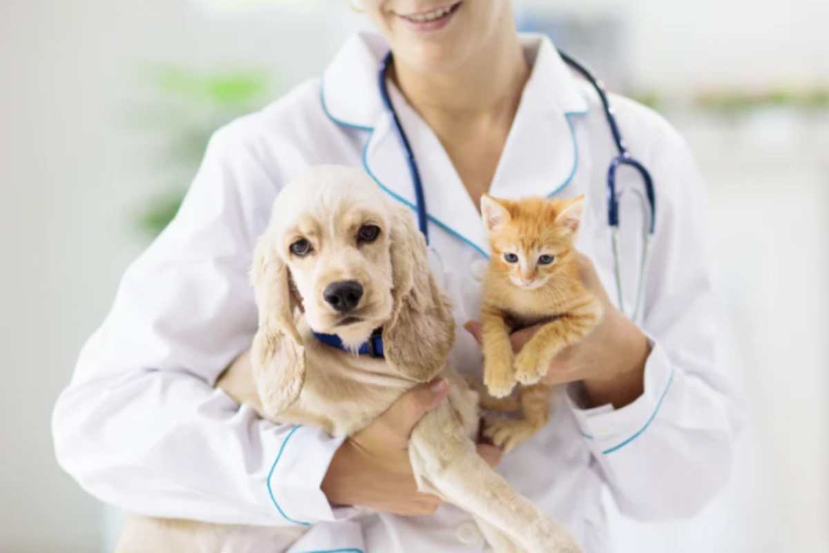 Il Bonus Cani e Gatti è progettato per coprire una vasta gamma di spese legate