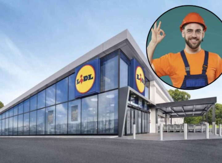Gli utenti segnalano ottime performance in lavori di montaggio e riparazione, come la costruzione di pergole, il fissaggio di strutture metalliche