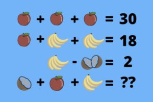 Il gioco si presenta come una semplice equazione con immagini di frutta: mele, banane e noci di cocco. L’obiettivo è determinare il valore