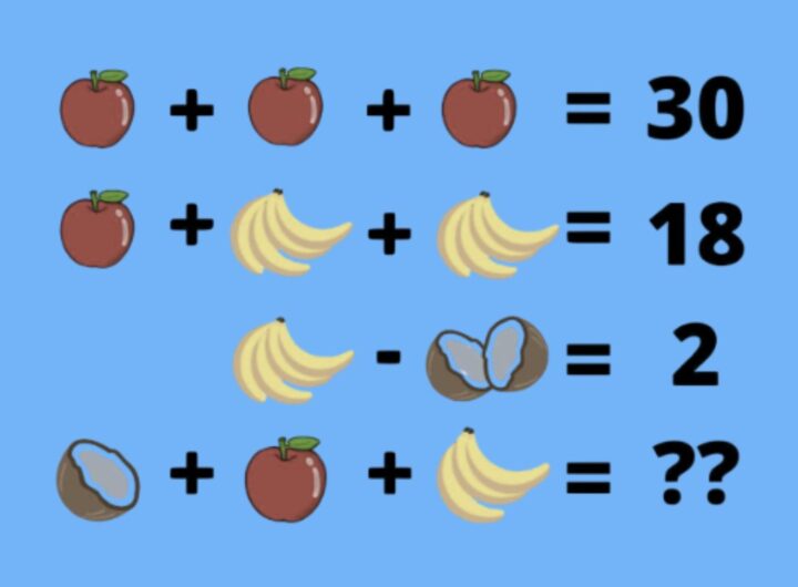 Il gioco si presenta come una semplice equazione con immagini di frutta: mele, banane e noci di cocco. L’obiettivo è determinare il valore