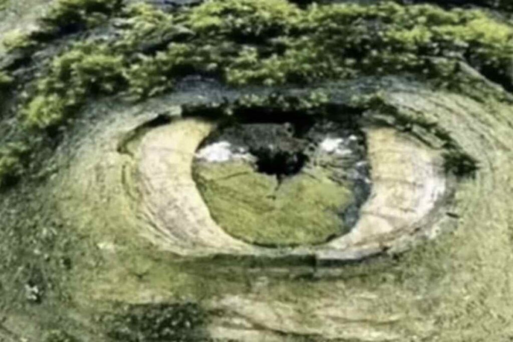 Questo strumento visivo promette di svelare le insicurezze più profonde di chi osserva, distinguendo chi vede per primo una fossa circondata da alberi