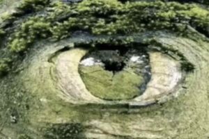 Questo strumento visivo promette di svelare le insicurezze più profonde di chi osserva, distinguendo chi vede per primo una fossa circondata da alberi