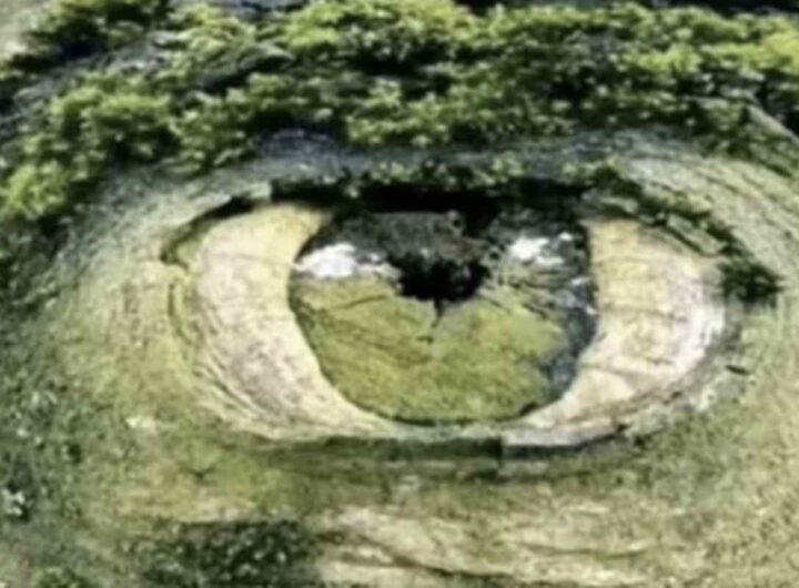 Questo strumento visivo promette di svelare le insicurezze più profonde di chi osserva, distinguendo chi vede per primo una fossa circondata da alberi