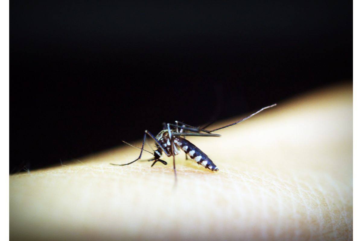 Sintomi del nuovo virus