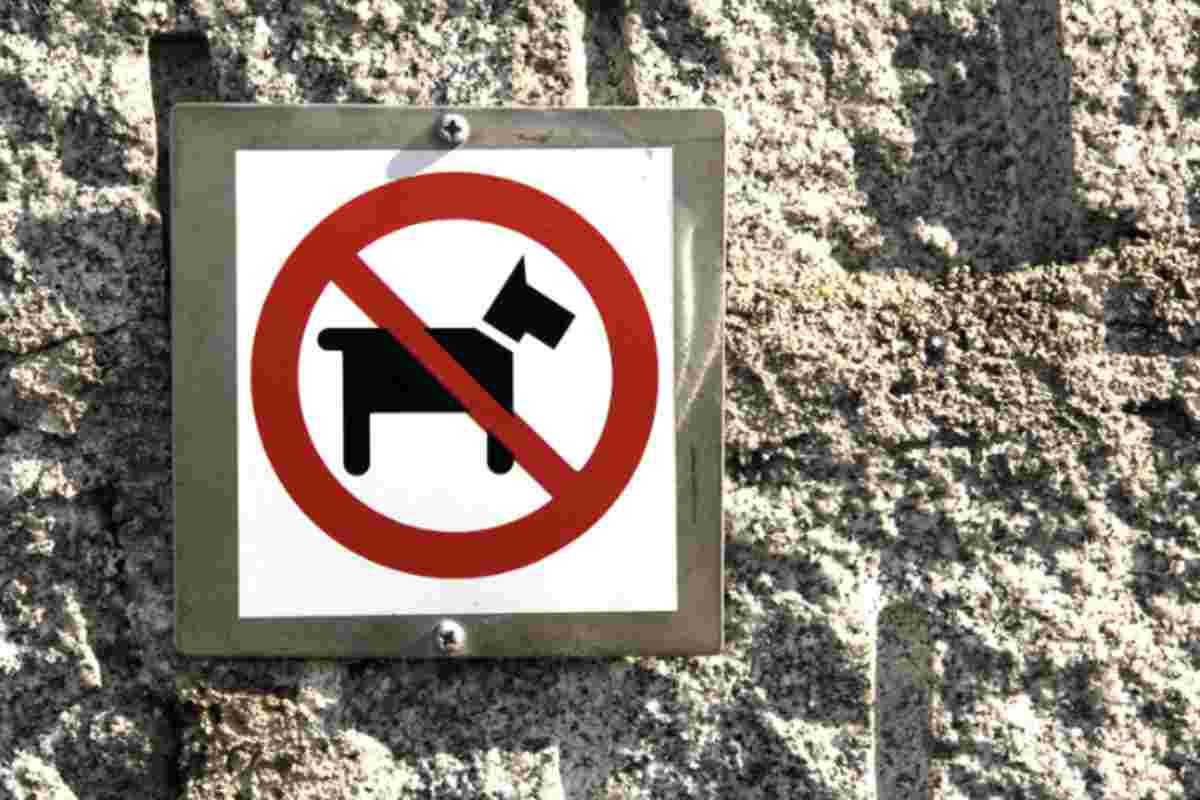 Non esistono norme nazionali che vietino in modo assoluto l’ingresso dei cani in teatri, cinema, ospedali o altri luoghi aperti al pubblico.