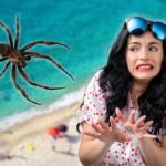 insetto killer spiagge