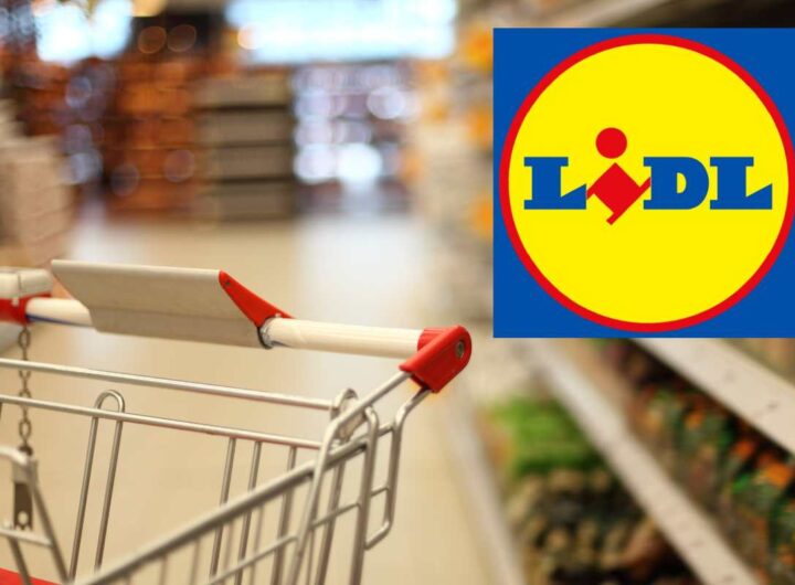 ultima offerta lidl