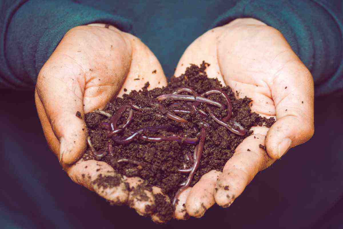 mangia ogni cosa ed è pericoloso per gli umani